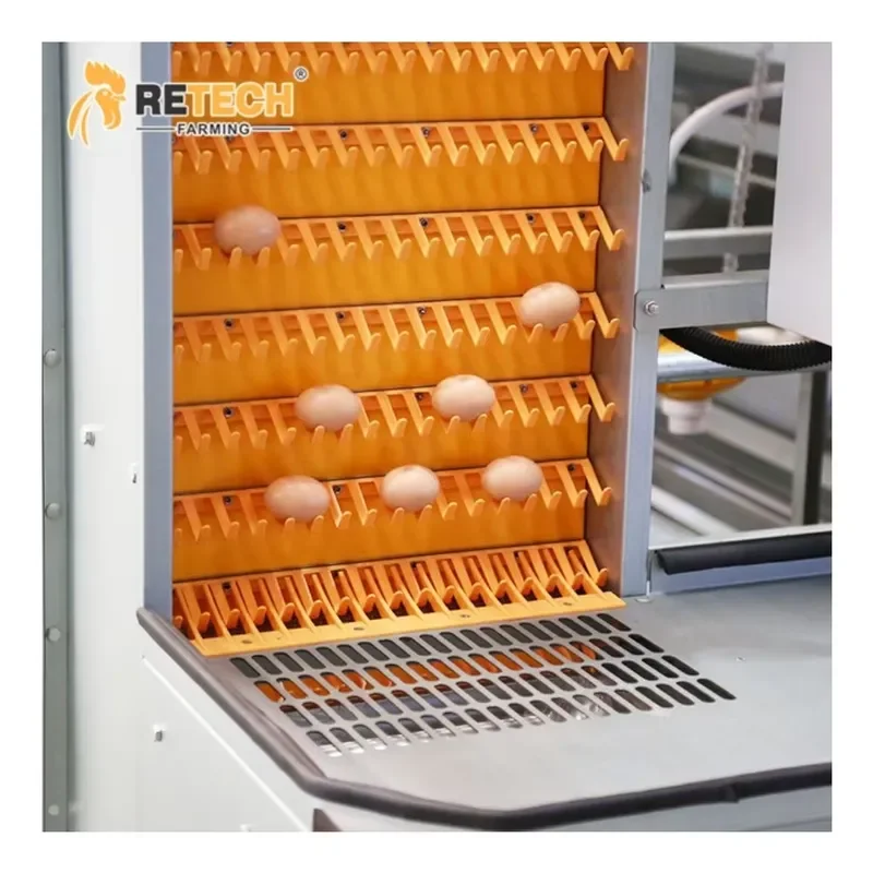 Automatic Chicken Laying Cage Equipment Egg Layer for Sales Battery Layer Chicken Cage for All Standard Models
Automatic Chicken Laying Cage Equipment Egg Layer for Sales Battery Layer Chicken Cage for All Standard Models