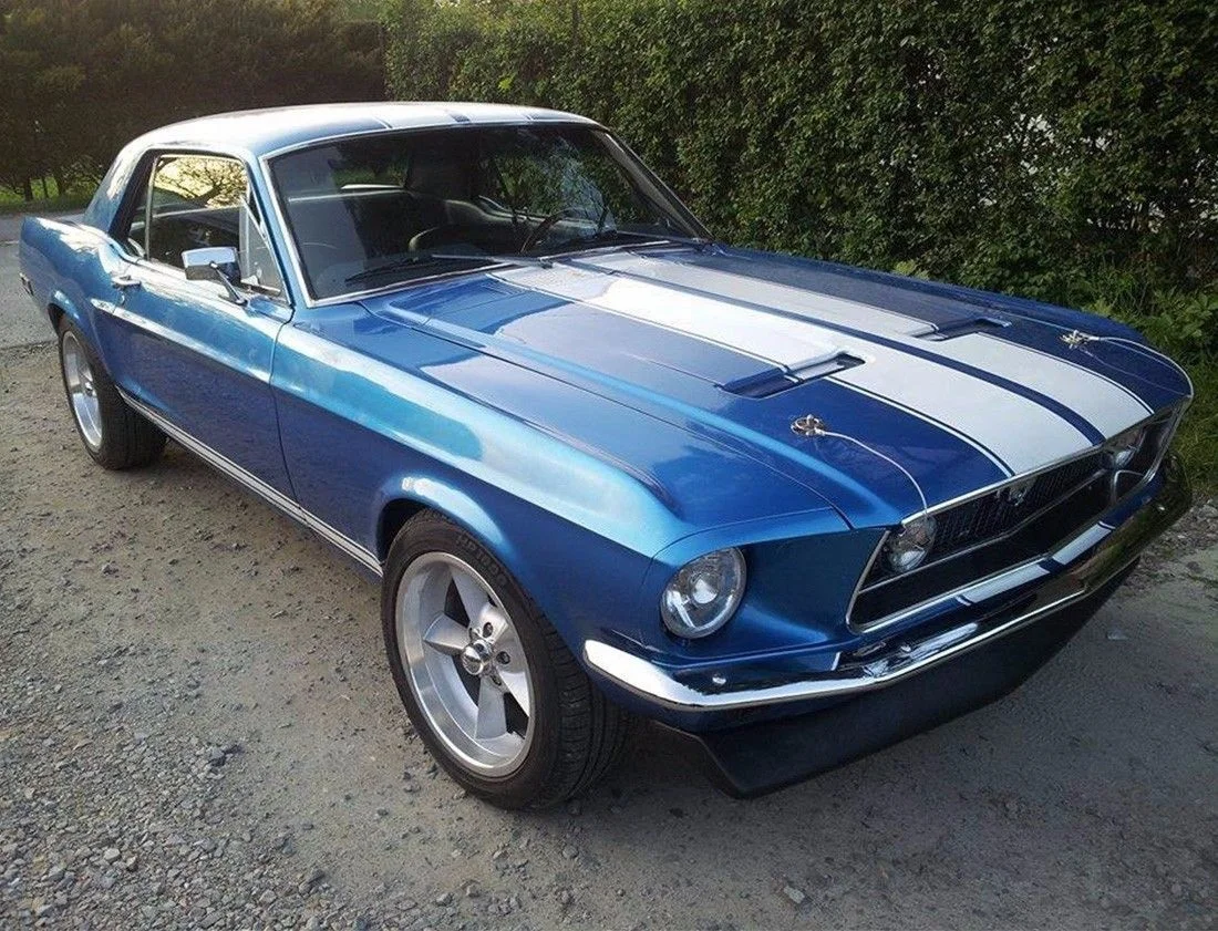 For Decal Graphic Sticker Stripe Body Kit for Classic d Mustang 1965-1973 Trunk Car Styling Hood Roof Truck
For Decal Graphic Sticker Stripe Body Kit for Classic d Mustang 1965-1973 Trunk Car Styling Hood Roof Truck