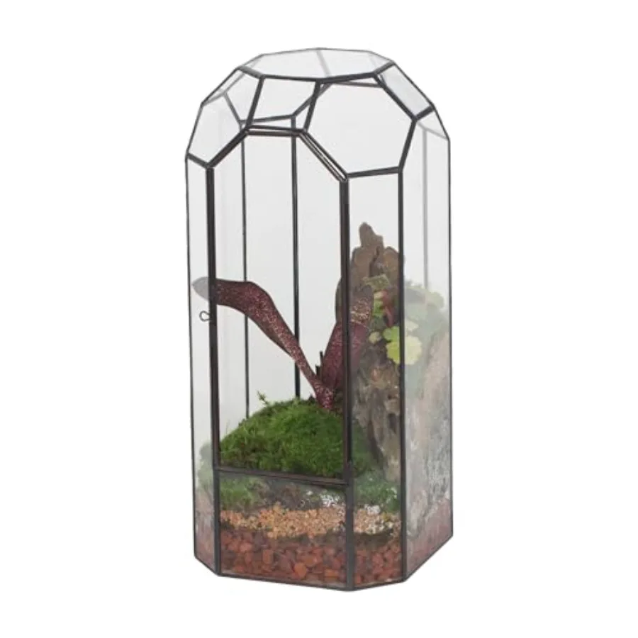 Glass Geometric Plant Terrarium for Succulent Plants, Cacti - 5.5"x5.5"x12.8" - Indoor Vintage Tall Octagon Planter, Home Garde
Glass Geometric Plant Terrarium for Succulent Plants, Cacti - 5.5"x5.5"x12.8" - Indoor Vintage Tall Octagon Planter, Home Garde