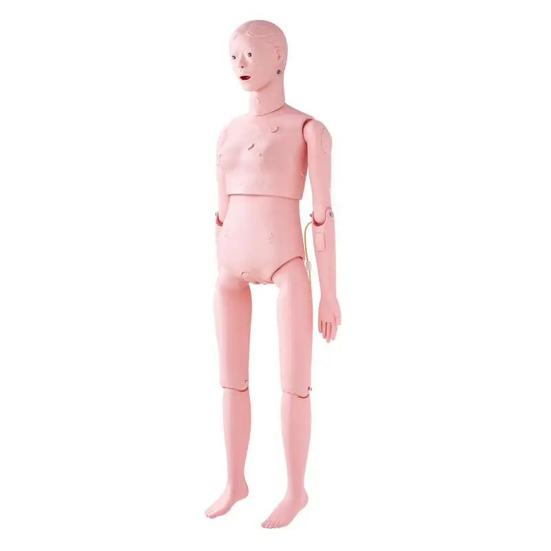 Nursing Education Simulator Life Size For Medical Schools Clinics Nursing Homes, Multifunctional PVC Anatomical Body Demonstration Teaching Supplies Comprehensive Patient Care Assessment Model
Nursing Education Simulator Life Size For Medical Schools Clinics Nursing Homes, Multifunctional PVC Anatomical Body Demonstration Teaching Supplies Comprehensive Patient Care Assessment Model