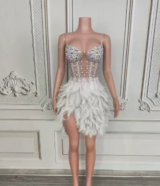 Luxury Women Feather Mesh Long Dress Sparkly Rhinestone Sexy Elegant Evening Party Birthday Photoshoot Performance Costume
Luxury Women Feather Mesh Long Dress Sparkly Rhinestone Sexy Elegant Evening Party Birthday Photoshoot Performance Costume