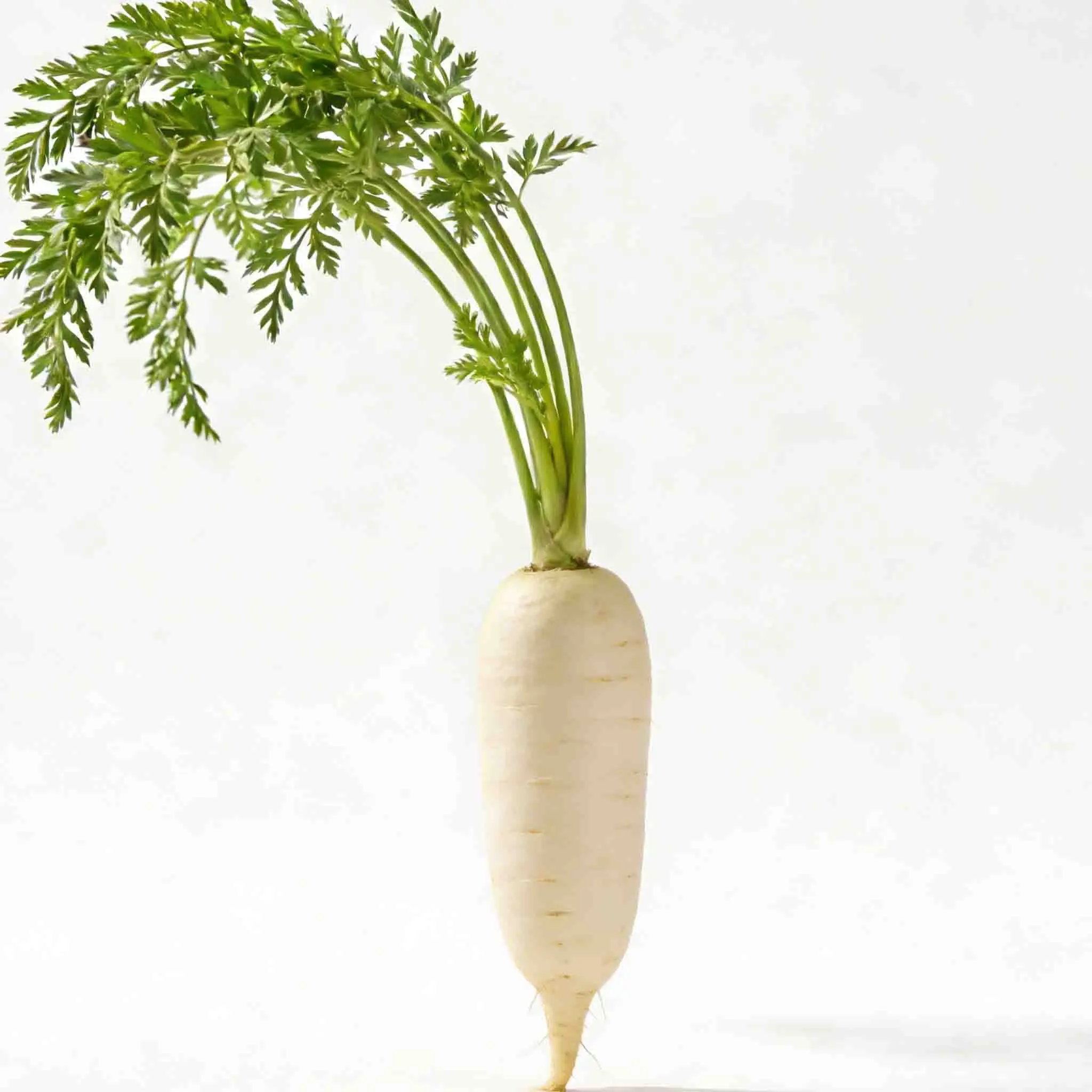 HPXGRC Super X dual ELRS Receiver ELRS 2.4G+915M Frequency Band Built-in LR1121 Chip for RC FPV Racing Freestyle Drone RC Parts
HPXGRC Super X dual ELRS Receiver ELRS 2.4G+915M Frequency Band Built-in LR1121 Chip for RC FPV Racing Freestyle Drone RC Parts