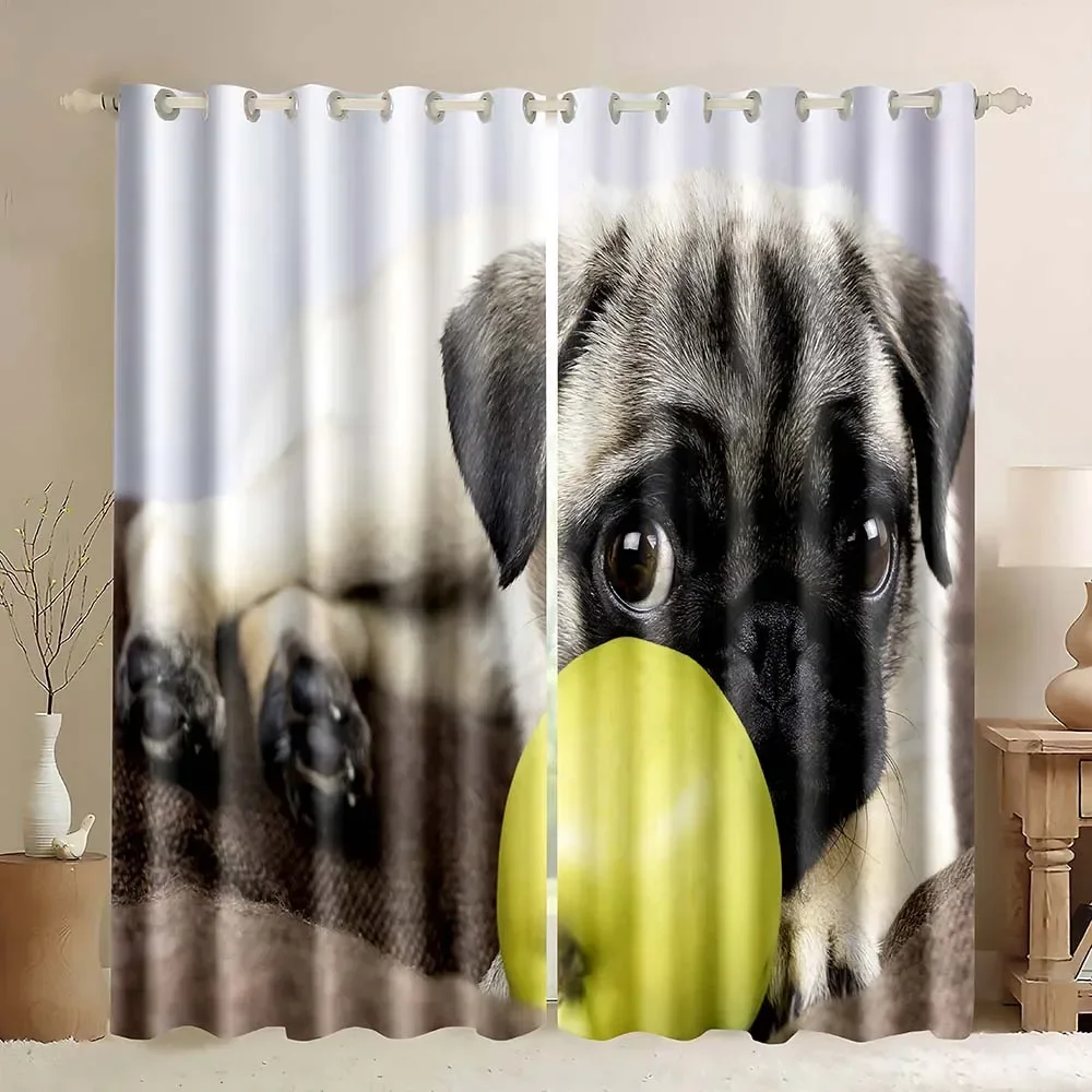 Blackout Curtains Lovely 3D Pug Dog Animal Window Curtains,Lying On Sofa Apple Fruit,Funny Pug Dog Cute Puppy Pet Window Curtain
Blackout Curtains Lovely 3D Pug Dog Animal Window Curtains,Lying On Sofa Apple Fruit,Funny Pug Dog Cute Puppy Pet Window Curtain