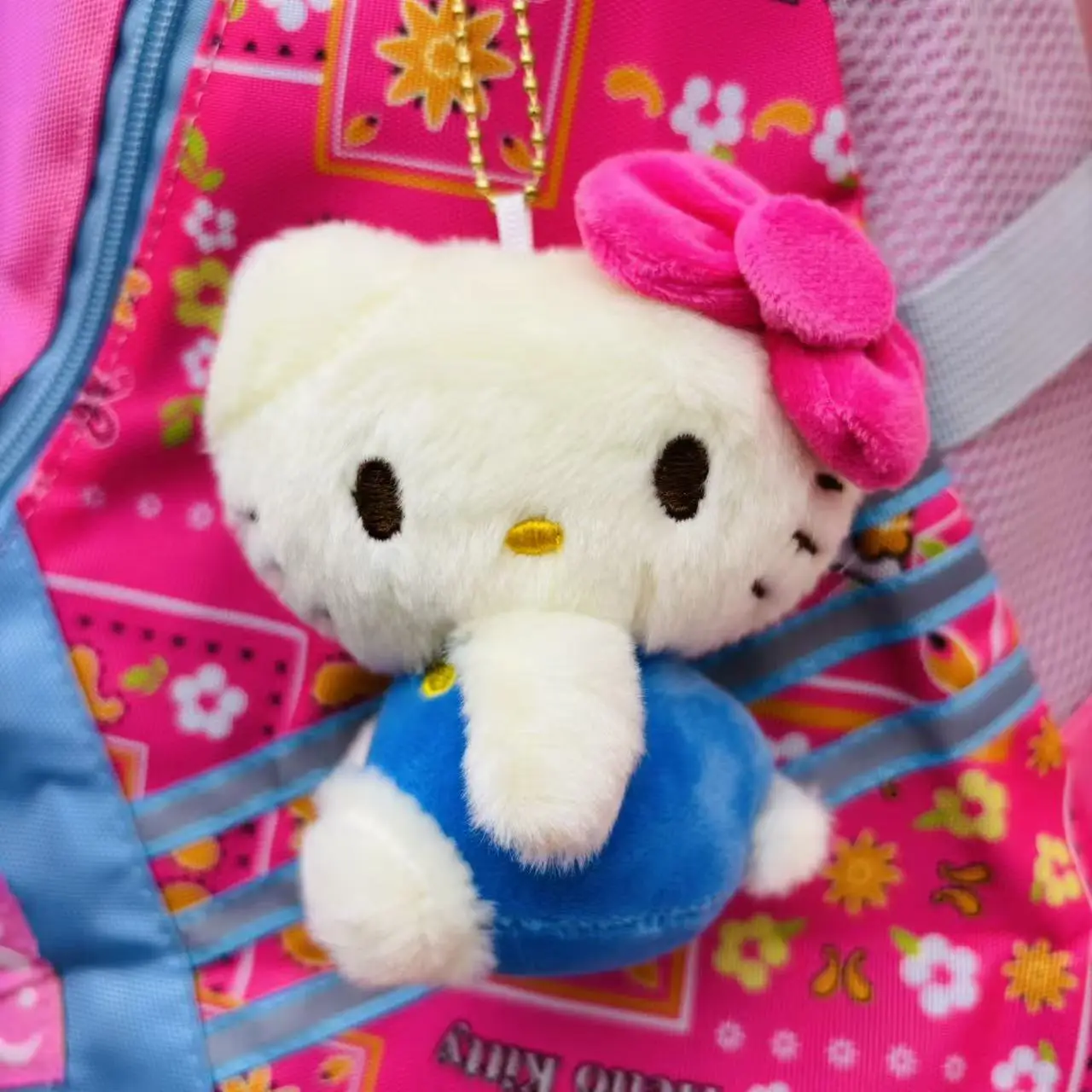 (Официальный продукт Sanrio) Милый плюшевый брелок Hello Kitty, модный брелок Hello Kitty для сумки, подвеска для рюкзака, Perf
(Официальный продукт Sanrio) Милый плюшевый брелок Hello Kitty, модный брелок Hello Kitty для сумки, подвеска для рюкзака, Perf
