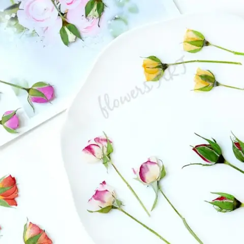 Pressed rose Bud flower core dry flower DIY plant photo frame handmade Epoxy aromatherapy bookmark drip glue phone case,12pcs