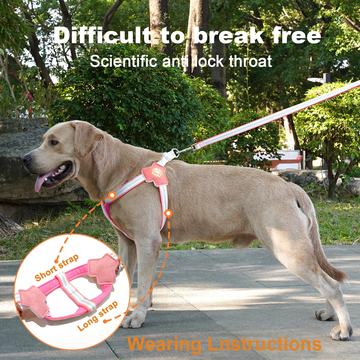 Набор шлейфов для собак Coodeo розового цвета, легкая удобная ручка, регулируемая шлейка для прогулок с безопасным тяговым зимним товаром для домашних животных
Набор шлейфов для собак Coodeo розового цвета, легкая удобная ручка, регулируемая шлейка для прогулок с безопасным тяговым зимним товаром для домашних животных