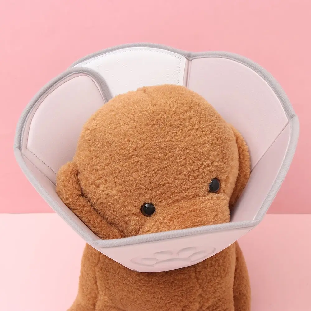 Adjustable Cat Wound Healing Pet Recovery Collar Protective Collar Anti-Bite Lick Circle Dog Cone Collar
Adjustable Cat Wound Healing Pet Recovery Collar Protective Collar Anti-Bite Lick Circle Dog Cone Collar