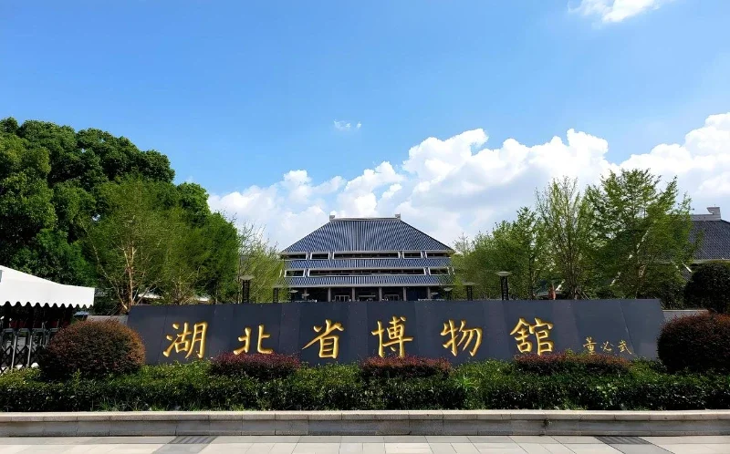 For Peugeot 3008 GT 2013-2018 Car Mud Flaps Fender Mudguards Mudflaps Splash Guards 4PCS Brand New
For Peugeot 3008 GT 2013-2018 Car Mud Flaps Fender Mudguards Mudflaps Splash Guards 4PCS Brand New