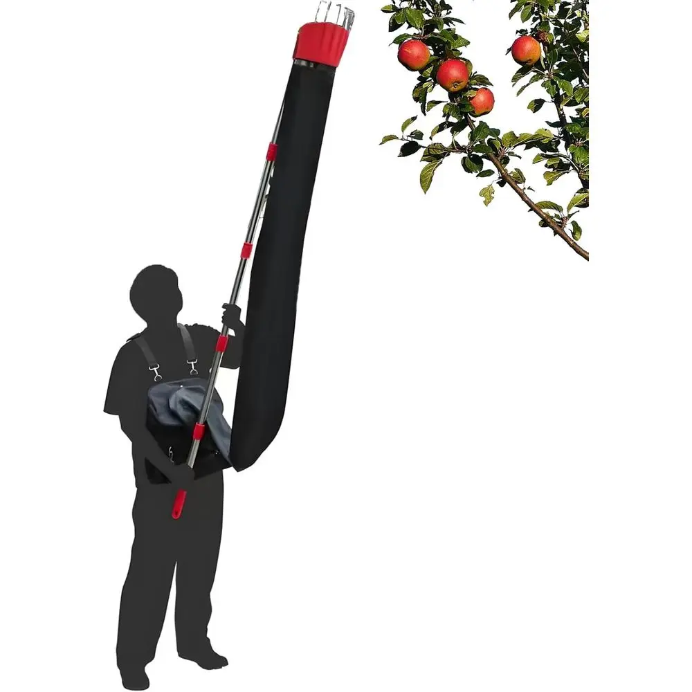 Телескопический сборщик фруктов с эргономичной ручкой и изогнутой головкой, расширяется до 13 футов, алюминиевый сплав, для легкого сборки
Телескопический сборщик фруктов с эргономичной ручкой и изогнутой головкой, расширяется до 13 футов, алюминиевый сплав, для легкого сборки