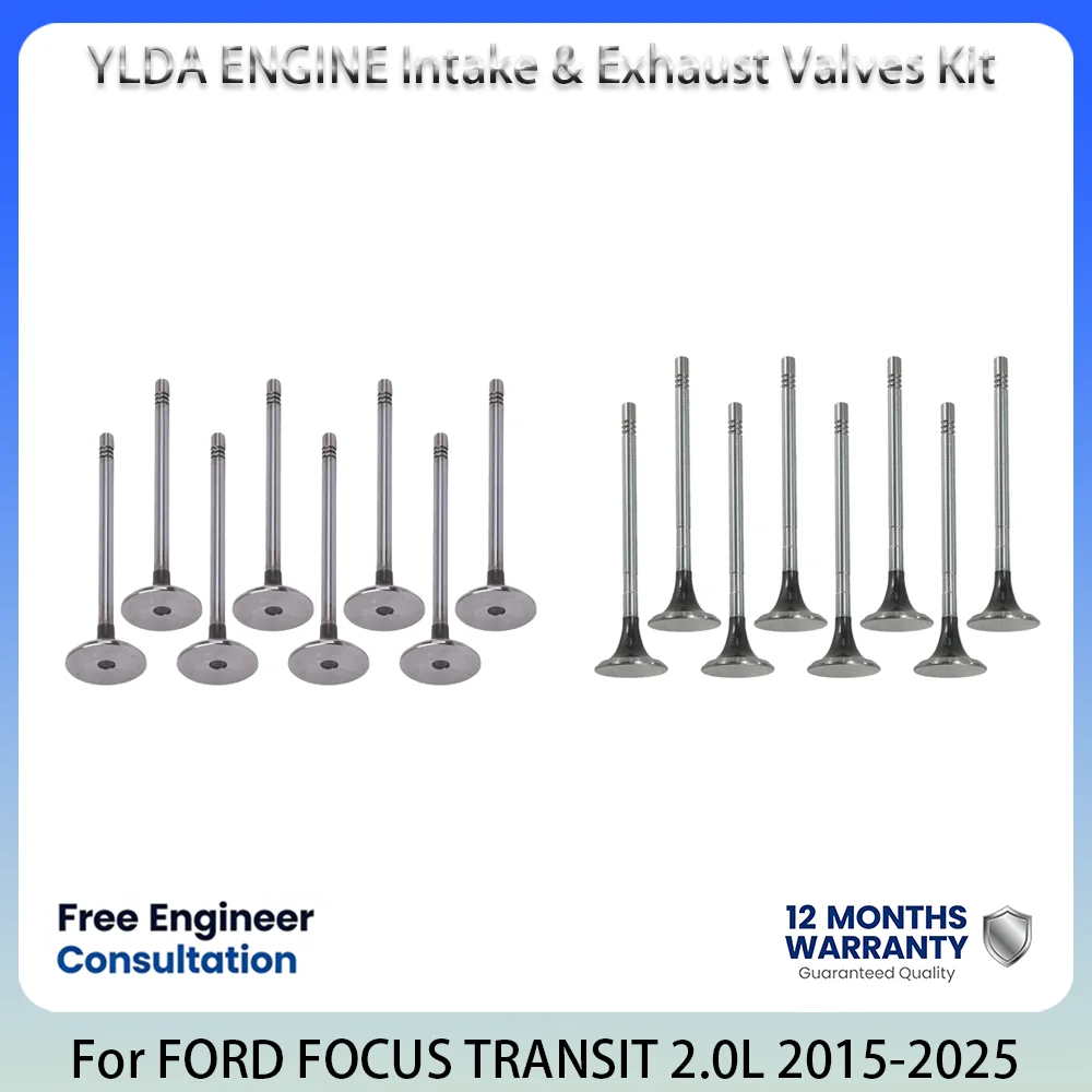 Intake & Exhaust Valves Set For FORD FOCUS GALAXY KUGA MONDEO S-MAX TOURNEO TRANSIT 2.0L 2.0 L T L4 Diesel 15-25 GK2Q-6507-AB
Intake & Exhaust Valves Set For FORD FOCUS GALAXY KUGA MONDEO S-MAX TOURNEO TRANSIT 2.0L 2.0 L T L4 Diesel 15-25 GK2Q-6507-AB