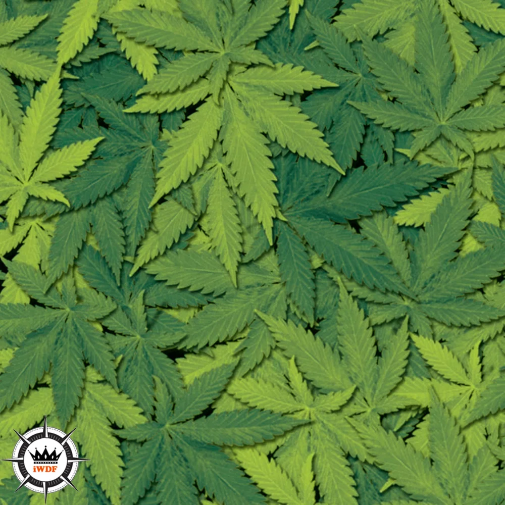 2 м/6 м/10 м/20 м в длину гидрографическая пленка Camoflage для печати на воде ширина 50 см узор гидропогружения H433
2 м/6 м/10 м/20 м в длину гидрографическая пленка Camoflage для печати на воде ширина 50 см узор гидропогружения H433