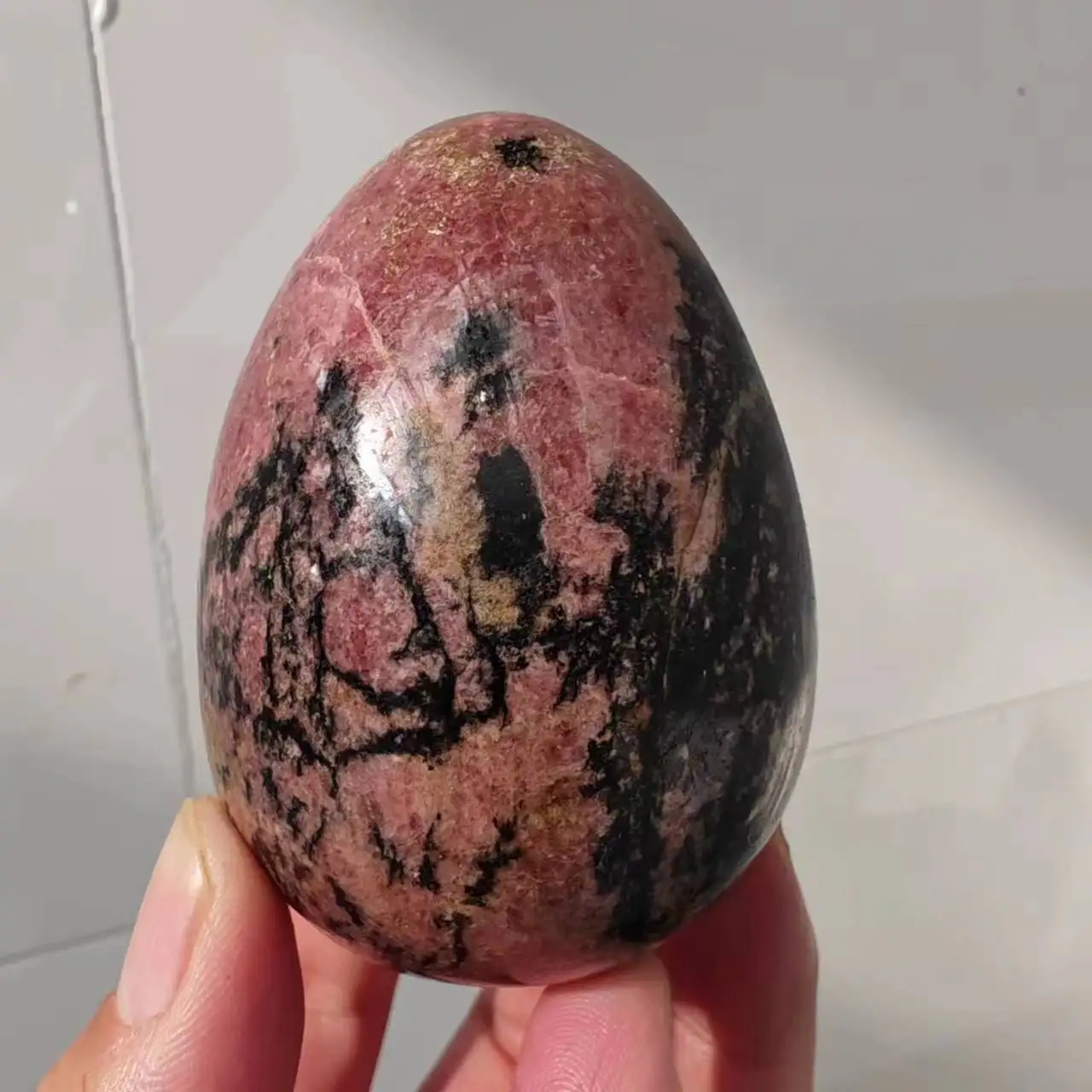 1pc Natural siderite pyroxene hand carved egg Crystal ore Energy Home office decorative craft Gift Mineral healing
1pc Natural siderite pyroxene hand carved egg Crystal ore Energy Home office decorative craft Gift Mineral healing