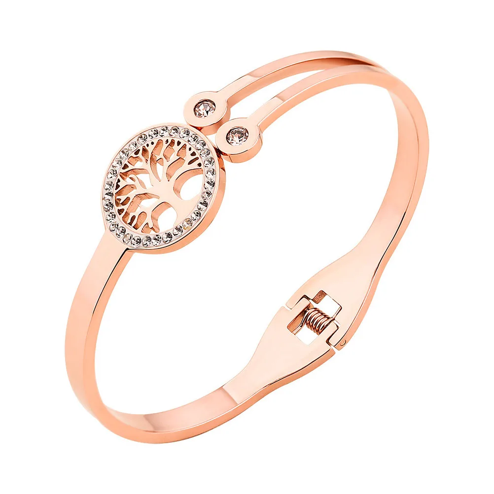 Rose Gold Bracelet Daily Wearing Accessory Armlet Women Wristband Unfading Christmas Gifts
Rose Gold Bracelet Daily Wearing Accessory Armlet Women Wristband Unfading Christmas Gifts