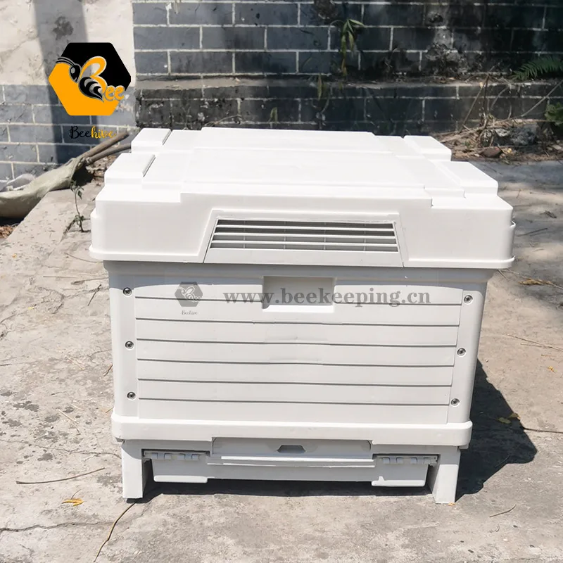 Уникальная двухслойная белая пластиковая коробка для улья Hdpe Langstroth Beehive 10, рама, термопластиковый пчелиный улей
Уникальная двухслойная белая пластиковая коробка для улья Hdpe Langstroth Beehive 10, рама, термопластиковый пчелиный улей