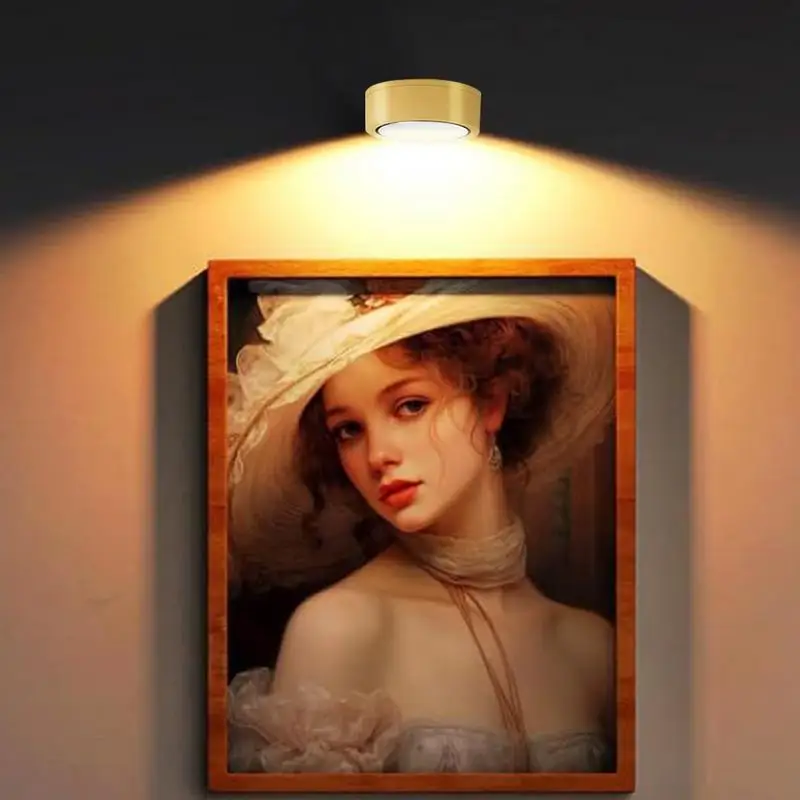 2pcs Picture Lights LED Magnetic Art Display Light Battery Operated Magnetic Dimmable Painting Spotlight For Corridor Stairs
2pcs Picture Lights LED Magnetic Art Display Light Battery Operated Magnetic Dimmable Painting Spotlight For Corridor Stairs