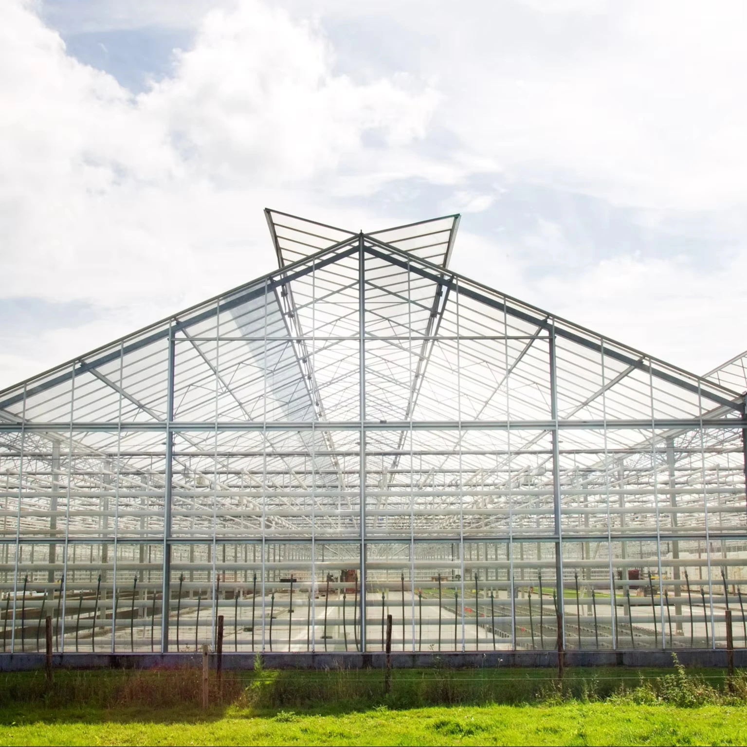 2025Large-Span Agricultural Greenhouse Engineering Planning Design Construction Guidance by Expert Greenhouse Builders
2025Large-Span Agricultural Greenhouse Engineering Planning Design Construction Guidance by Expert Greenhouse Builders