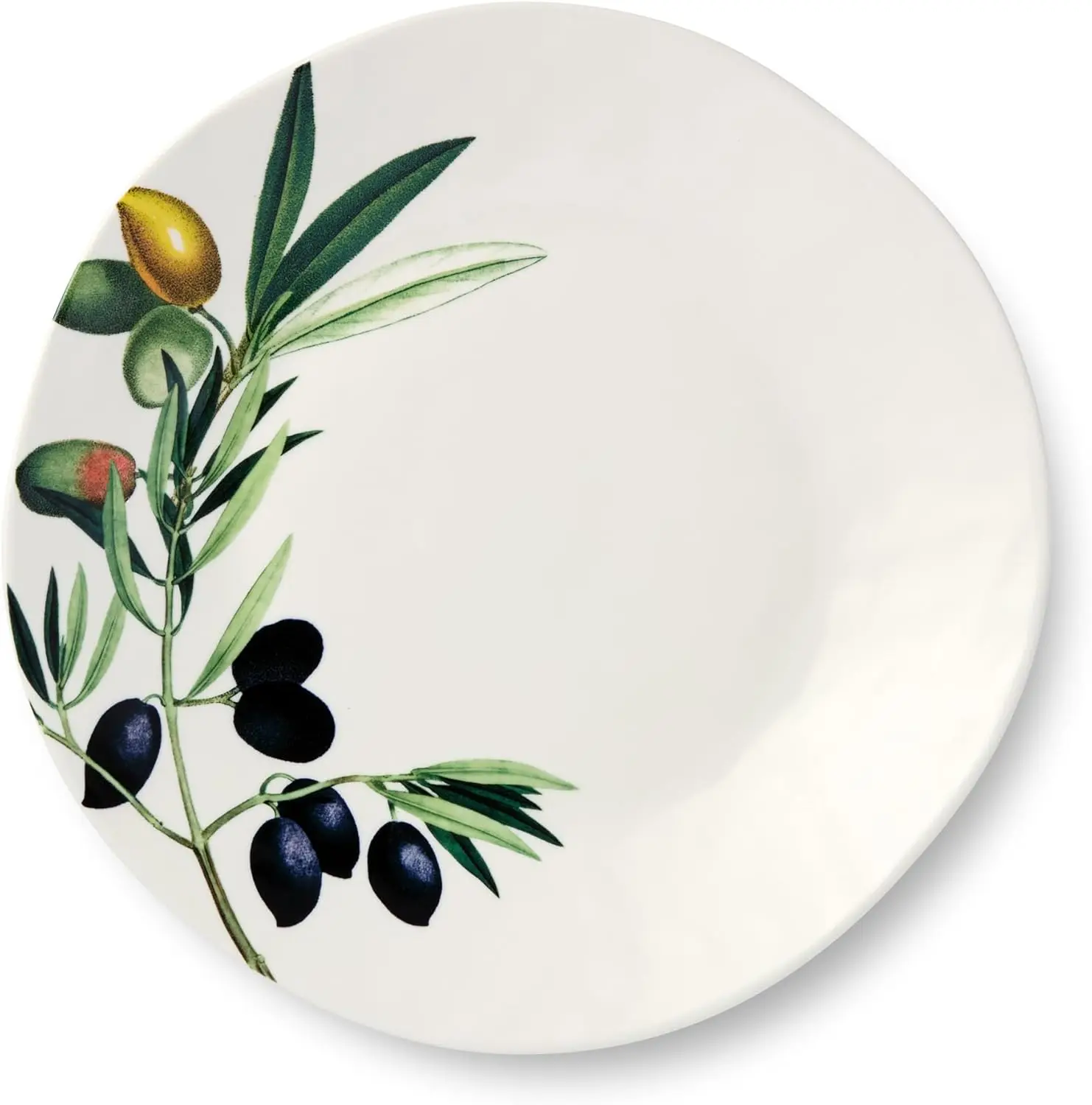 Olivia 11-Inch Stoneware Dinner Plates, Set of 4 - Stunning Olive Branch Design, Perfect for Serving Elegant Dinners, Hearty Ent
Olivia 11-Inch Stoneware Dinner Plates, Set of 4 - Stunning Olive Branch Design, Perfect for Serving Elegant Dinners, Hearty Ent