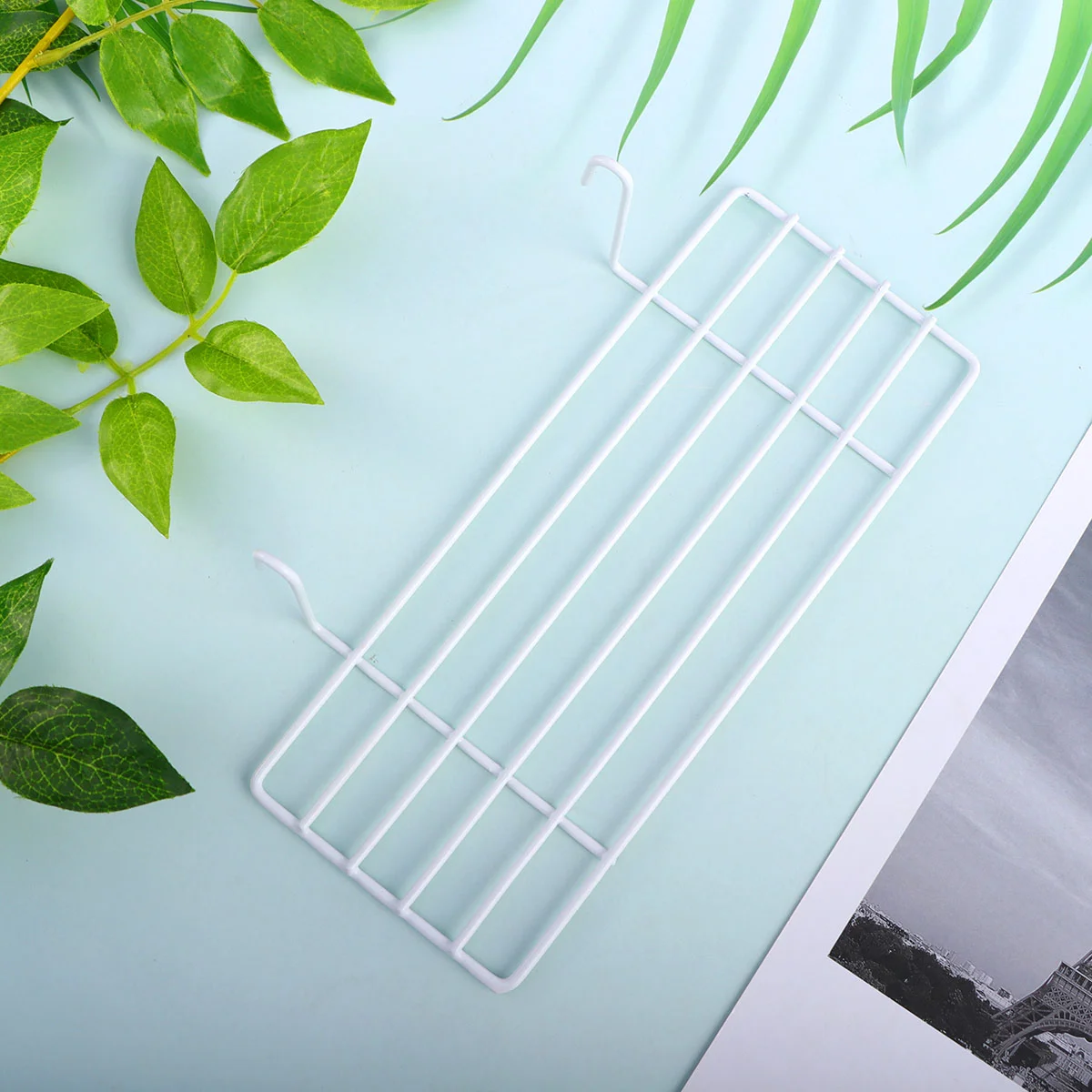 Birdcage Perch White Wall Shelves Decoration Shelf Grid Iron Striped Bass Frame Baby
Birdcage Perch White Wall Shelves Decoration Shelf Grid Iron Striped Bass Frame Baby