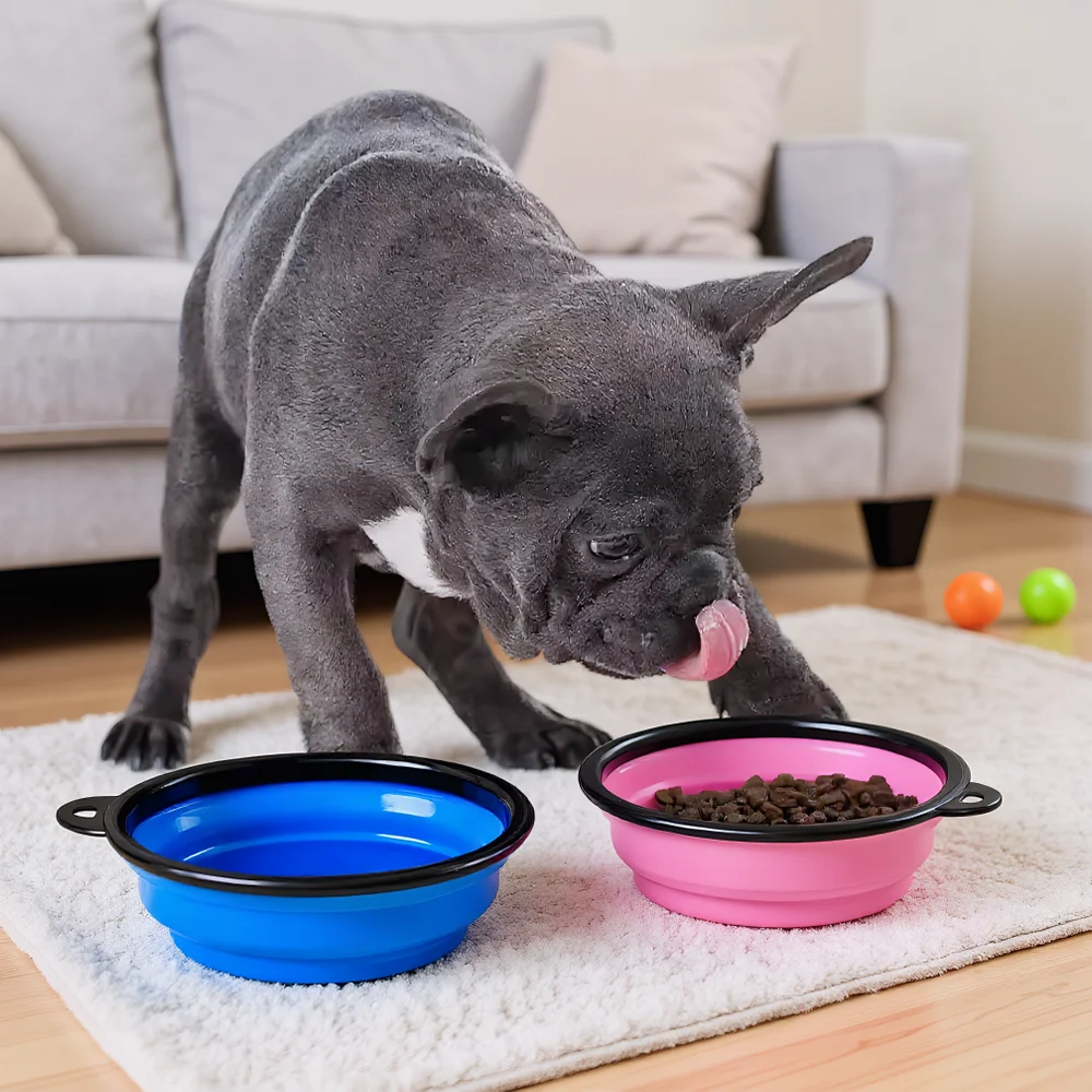 Collapsible Silicone Dog Bowl 2 In 1 Portable Pet Feeder with Carabiner for Travel Outdoor Food Water Container for Dogs Cats
Collapsible Silicone Dog Bowl 2 In 1 Portable Pet Feeder with Carabiner for Travel Outdoor Food Water Container for Dogs Cats