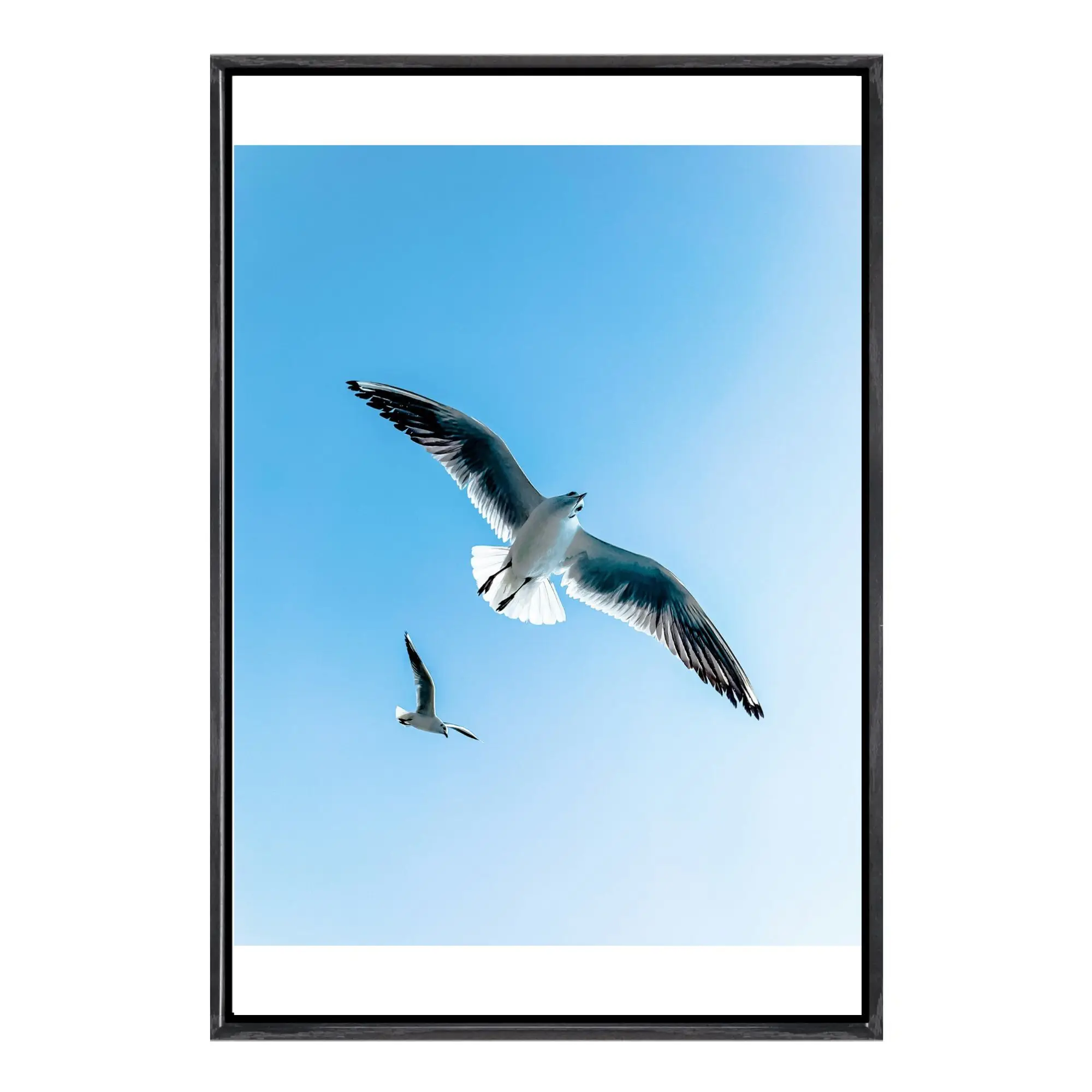 Чайка, холст в рамке, настенное искусство, прибрежный океан, пляж, природа, морская птица, принт, домашний декор для домашнего офиса, украшение стены
Чайка, холст в рамке, настенное искусство, прибрежный океан, пляж, природа, морская птица, принт, домашний декор для домашнего офиса, украшение стены