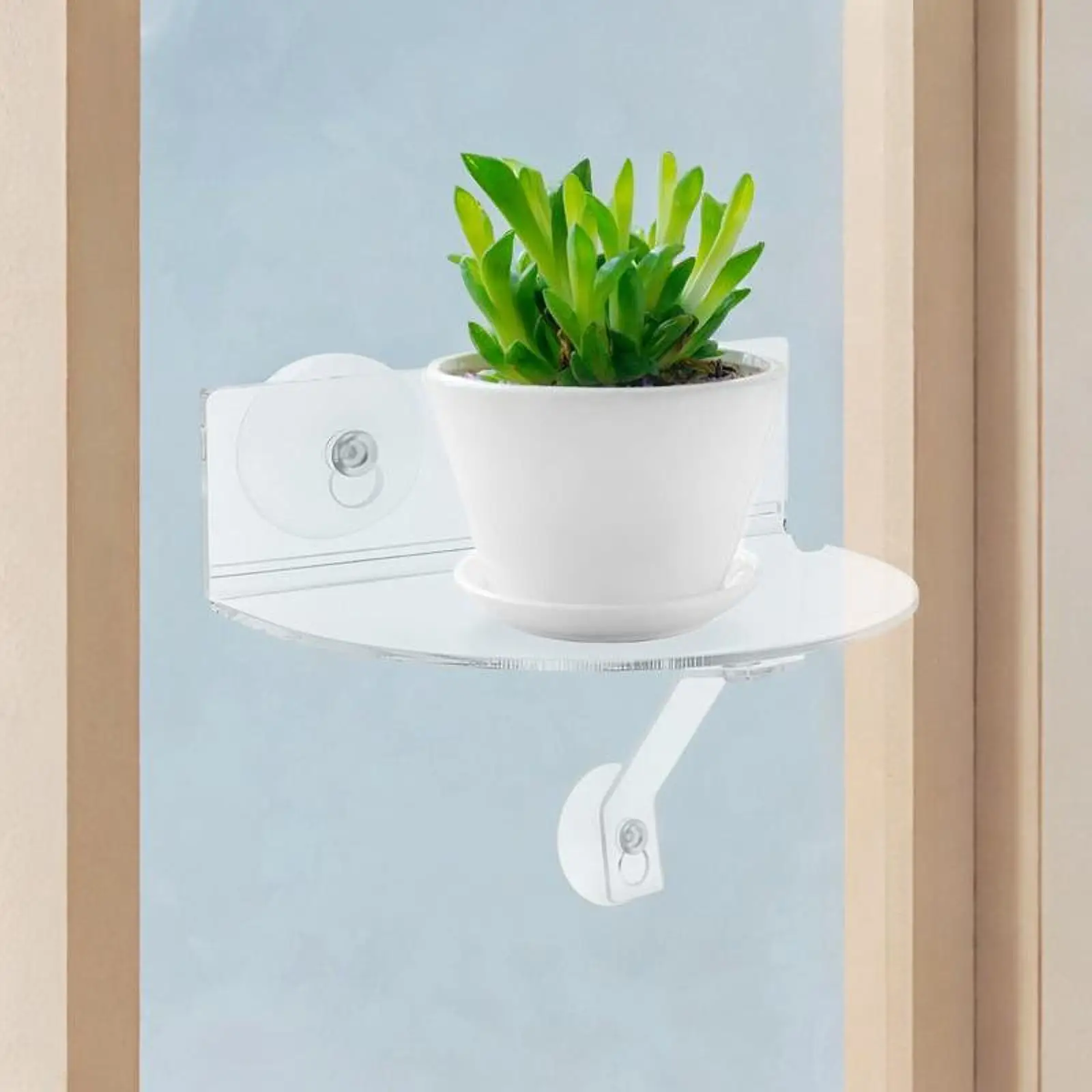 Potted Plant Display Stand Suction Cup Versatile Use Decorative Versatile Home Decor Strong Support Bracket Flower Display Rack
Potted Plant Display Stand Suction Cup Versatile Use Decorative Versatile Home Decor Strong Support Bracket Flower Display Rack