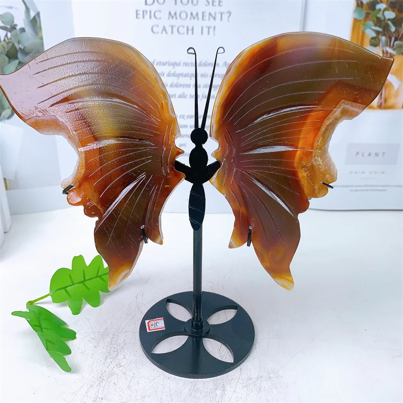 Natural Geode Agate Butterfly Wing Rock Crystals And Stones Healing Home Decoration Accessories Room Decor 1pcs
Natural Geode Agate Butterfly Wing Rock Crystals And Stones Healing Home Decoration Accessories Room Decor 1pcs
