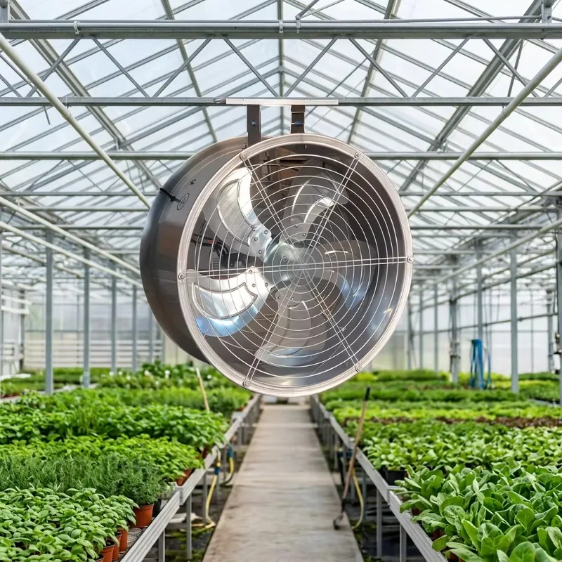 Stainless Steel Duct Axial Fan AC 220-240V Powerful Electric Cooling Fan 290mm Blade Diameter Ball Bearing Industrial
Stainless Steel Duct Axial Fan AC 220-240V Powerful Electric Cooling Fan 290mm Blade Diameter Ball Bearing Industrial