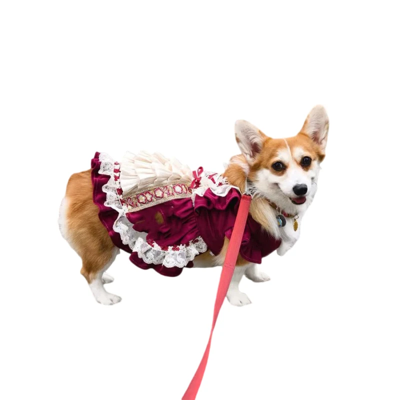 Welsh Corgi Dog Dress Summer Pet Apparel Poodle Bichon Frise Schnauzer Pug French Bulldog Clothing Girl Dog Clothes Skirt
Welsh Corgi Dog Dress Summer Pet Apparel Poodle Bichon Frise Schnauzer Pug French Bulldog Clothing Girl Dog Clothes Skirt