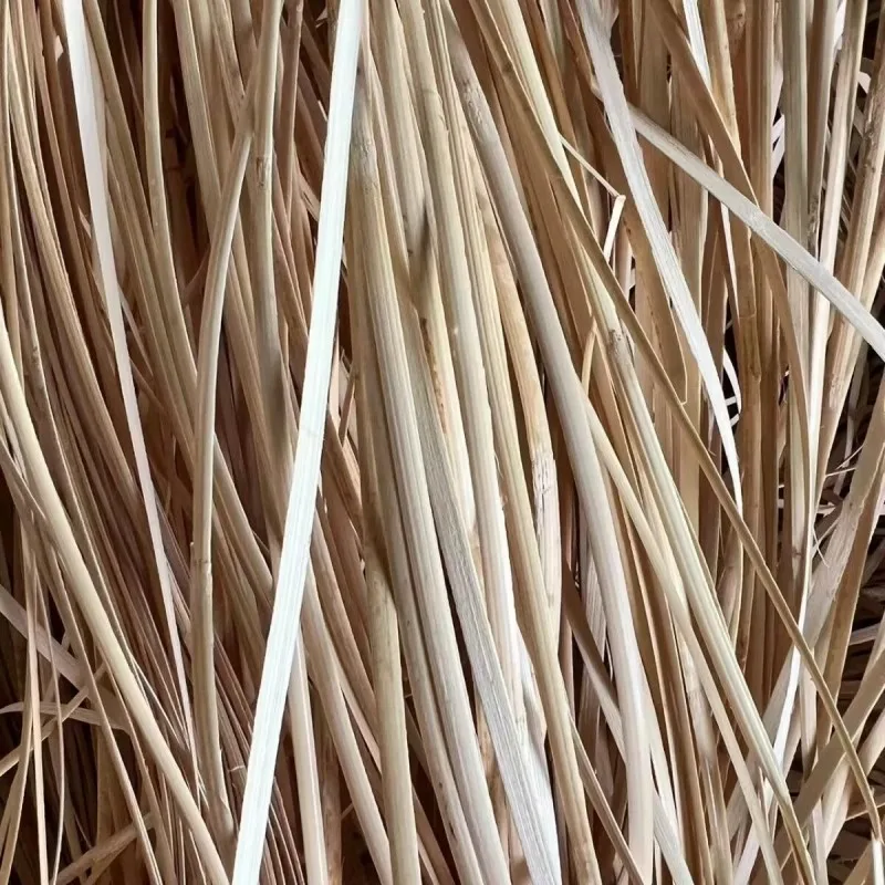 500G 2mm-10mm Wide Natural Indonesian Real Rattan Skin Handicraft Outdoor For DIY Furniture Basket Chair Table Door Material
500G 2mm-10mm Wide Natural Indonesian Real Rattan Skin Handicraft Outdoor For DIY Furniture Basket Chair Table Door Material