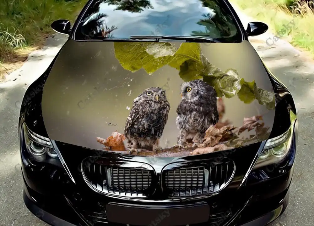 owl animal Car hood sticker painting self-adhesive universal car film modified hood protection decal
owl animal Car hood sticker painting self-adhesive universal car film modified hood protection decal