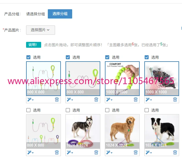 5PCS wholesale hot-selling dog belt bubble foam multi-functional dog belt oblique span pet puppy belt
5PCS wholesale hot-selling dog belt bubble foam multi-functional dog belt oblique span pet puppy belt