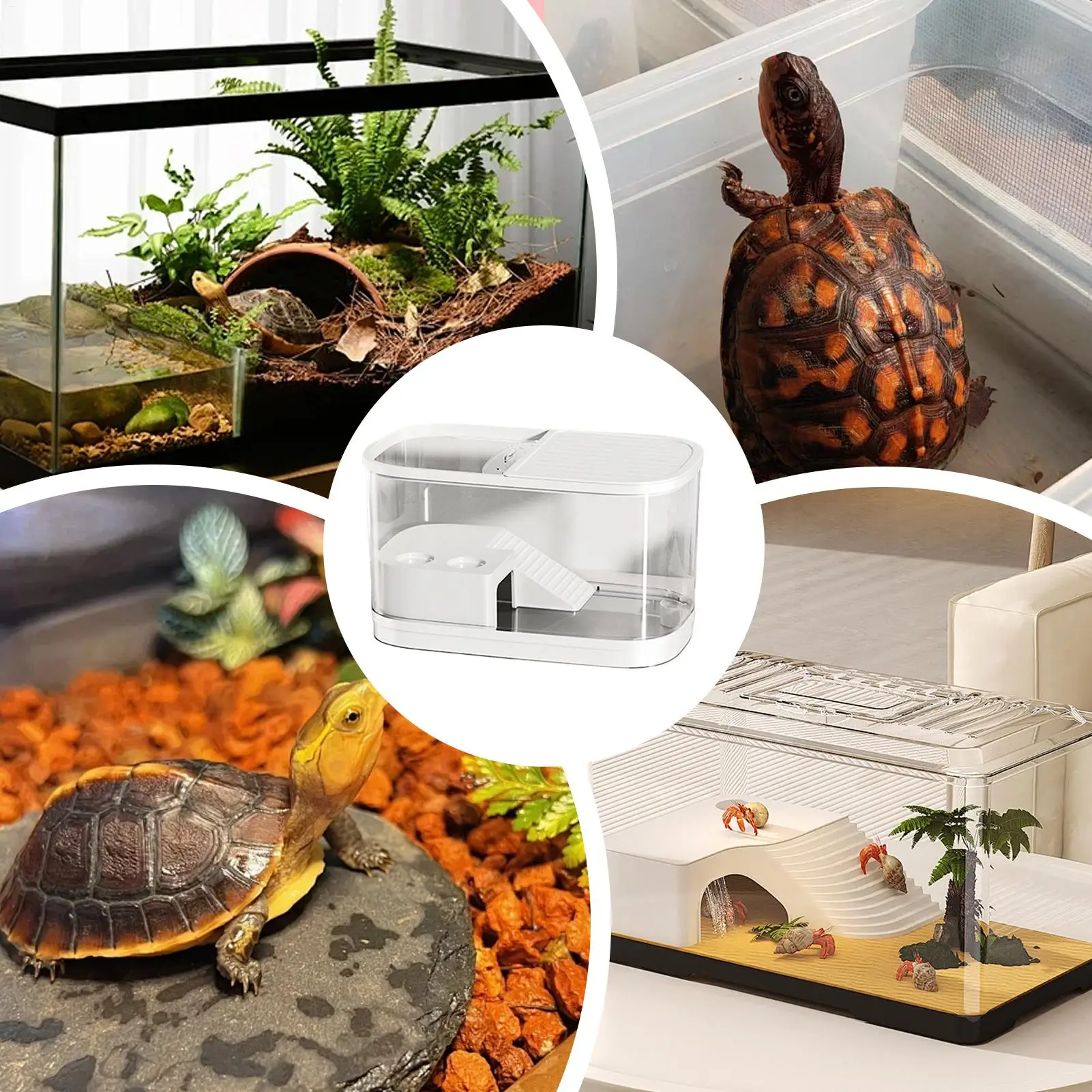 Reptile Tank Cage Enclosure For Reptile Snack Habitat Tank For Spider Chameleon Tarantula Bearded Dragon Frog Snack Gecko
Reptile Tank Cage Enclosure For Reptile Snack Habitat Tank For Spider Chameleon Tarantula Bearded Dragon Frog Snack Gecko
