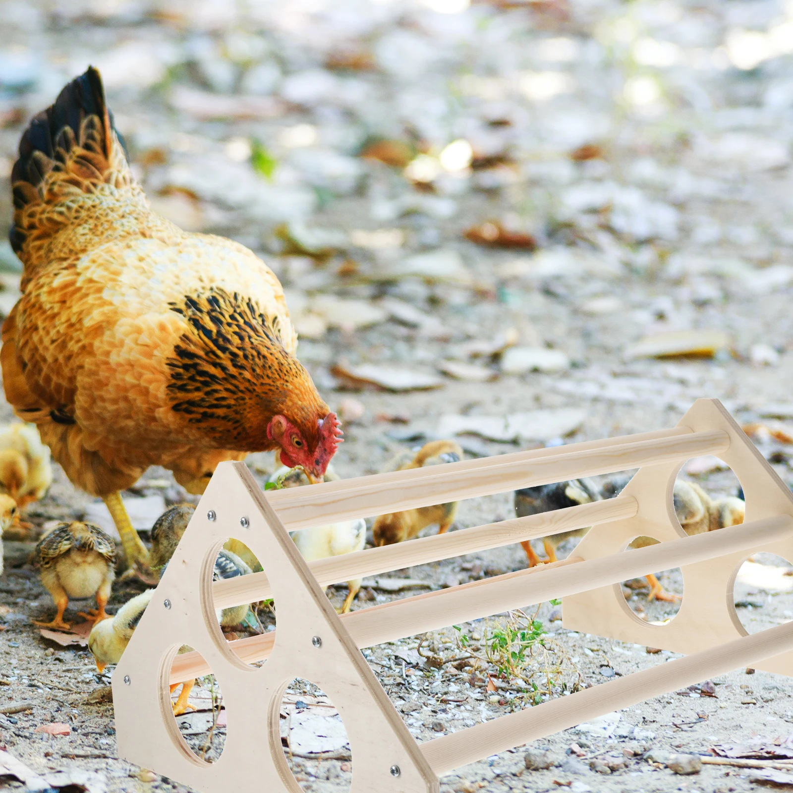 Hen Swing Base Poultry Training Rack Parrot Indoor Wooden Poultry Chicken St Perch Safe Hen Perch St Toy
Hen Swing Base Poultry Training Rack Parrot Indoor Wooden Poultry Chicken St Perch Safe Hen Perch St Toy