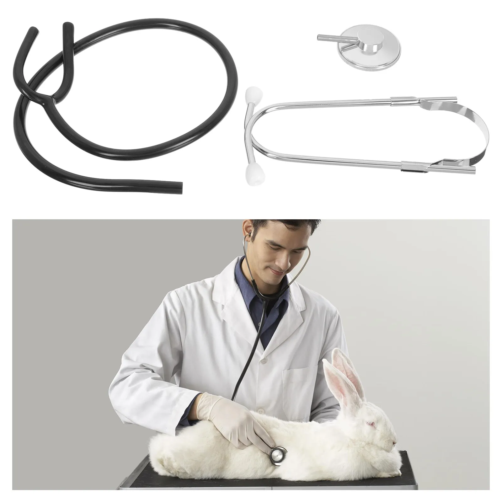 Veterinary Stethoscope for Livestock Stainless Steel Construction Fine Polished Ear Tubes Closed Rubber Earplugs Noise Reduction
Veterinary Stethoscope for Livestock Stainless Steel Construction Fine Polished Ear Tubes Closed Rubber Earplugs Noise Reduction