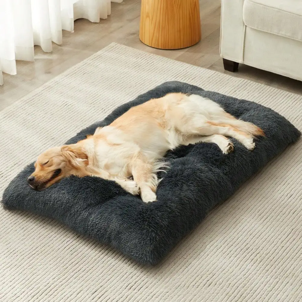 Dog Beds For Large Dogs, Plush Dog Crate Bed Fluffy Cozy Kennel Pad For Sleeping &Ease Anxiety, Washable Pet Mats With Anti-Slip
Dog Beds For Large Dogs, Plush Dog Crate Bed Fluffy Cozy Kennel Pad For Sleeping &Ease Anxiety, Washable Pet Mats With Anti-Slip