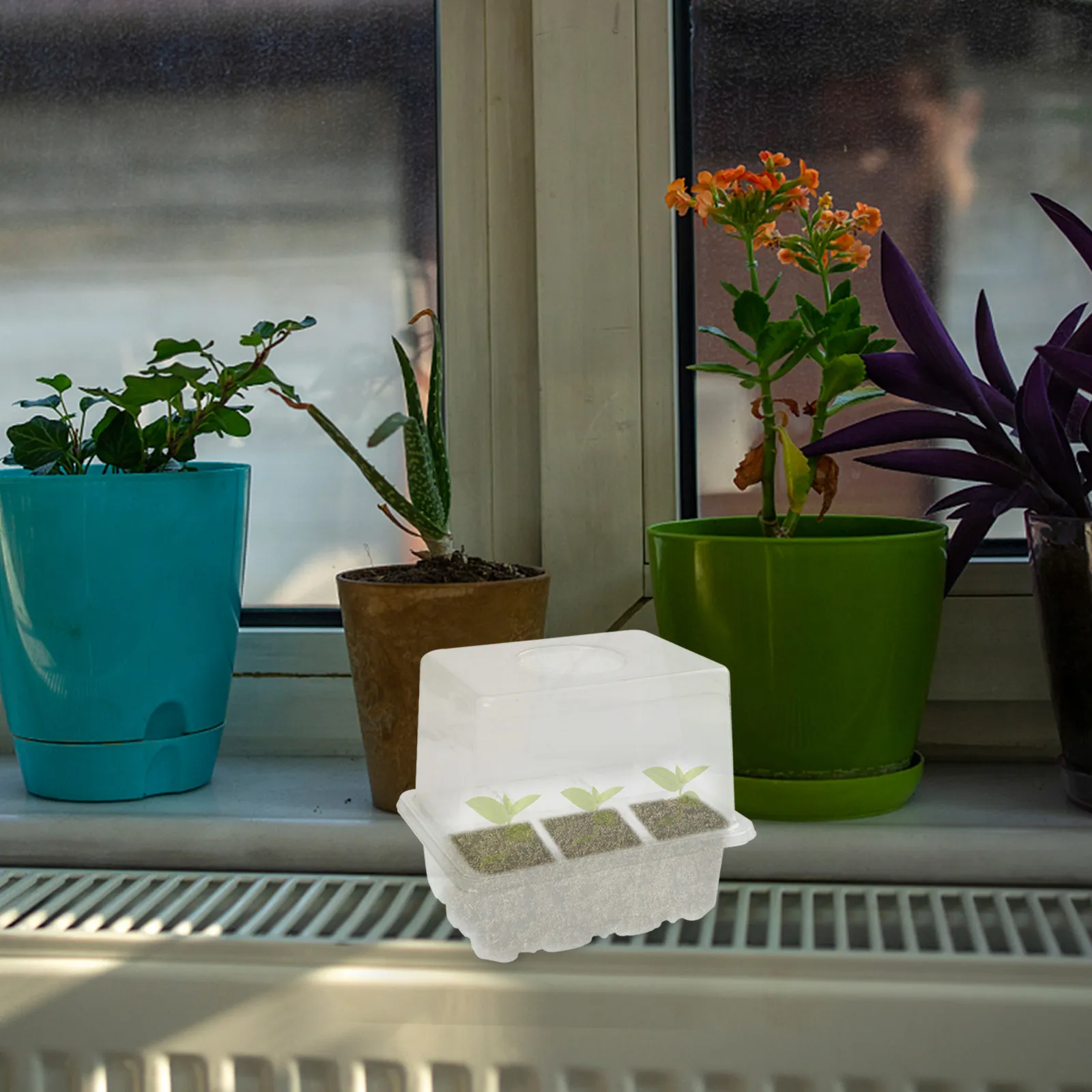 Набор из 3-х водонепроницаемых пластиковых контейнеров для проращивания семян и рассады, легко моющиеся, для сада и питомника
Набор из 3-х водонепроницаемых пластиковых контейнеров для проращивания семян и рассады, легко моющиеся, для сада и питомника