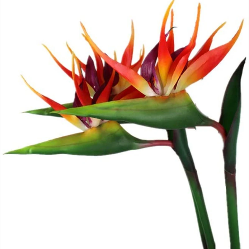 Large Fake Flowers Long Artificial Heaven Bird Plants for Home Living room Patio Decorations Faux Greenery for Tropical Decor
Large Fake Flowers Long Artificial Heaven Bird Plants for Home Living room Patio Decorations Faux Greenery for Tropical Decor