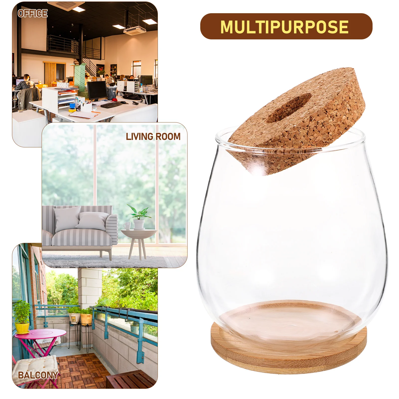 Hydroponic Vase Glass Planter Transparent Design Micro Landscaping Container Plant Terrarium Stand Decor Balcony Office Garden
Hydroponic Vase Glass Planter Transparent Design Micro Landscaping Container Plant Terrarium Stand Decor Balcony Office Garden