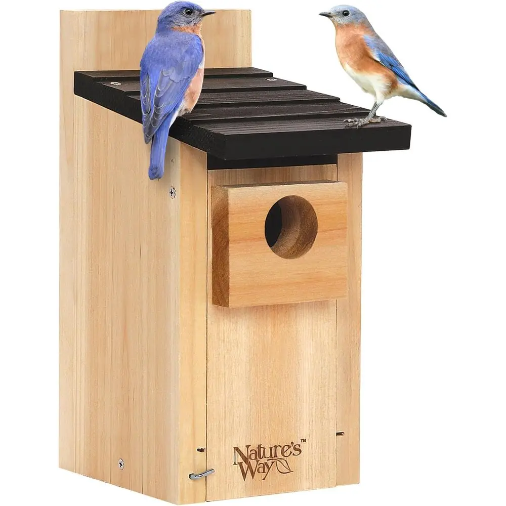 CeBluebird Style Ceramic Birdhouse with Weathered Blue Exterior
CeBluebird Style Ceramic Birdhouse with Weathered Blue Exterior