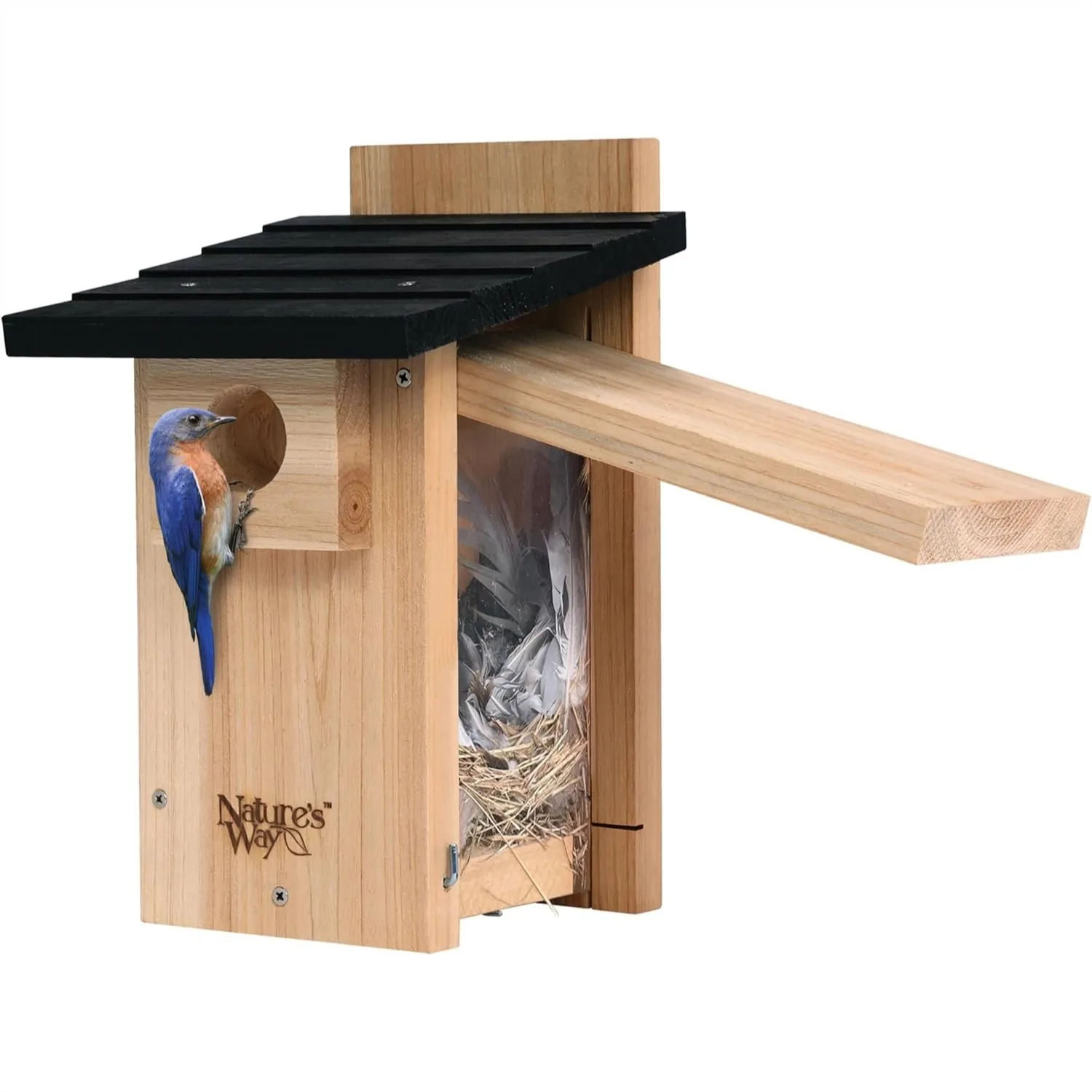 Cedar Bluebird Viewing House with Predator Guard, Easy Clean-Out Door
Cedar Bluebird Viewing House with Predator Guard, Easy Clean-Out Door