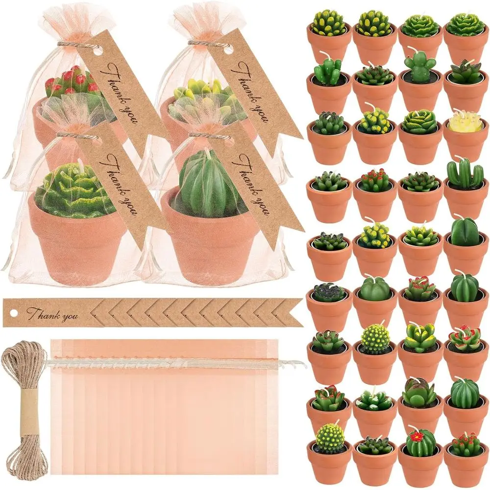 Set of 48 Succulent-Themed Tealight Candles for Weddings, Showers, Valentine's, and Birthdays with Pots, Bags, Tags, and Twine
Set of 48 Succulent-Themed Tealight Candles for Weddings, Showers, Valentine's, and Birthdays with Pots, Bags, Tags, and Twine