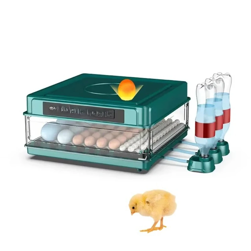 Chicken Egg Hatching Machine Mini Dual Power Egg Incubator for Chickens
Chicken Egg Hatching Machine Mini Dual Power Egg Incubator for Chickens