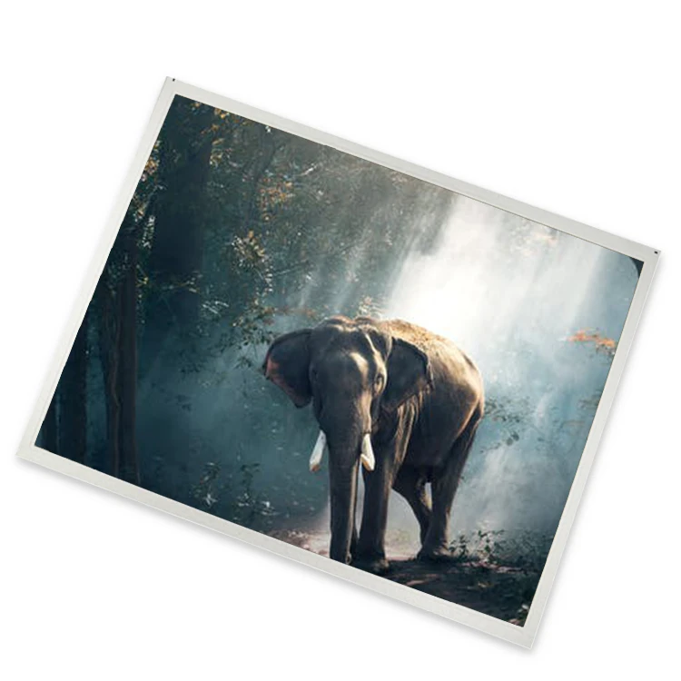 B133HAK01.0 13.3" 1920*1080 TFT-LCD Display Panel 13.3inch
B133HAK01.0 13.3" 1920*1080 TFT-LCD Display Panel 13.3inch