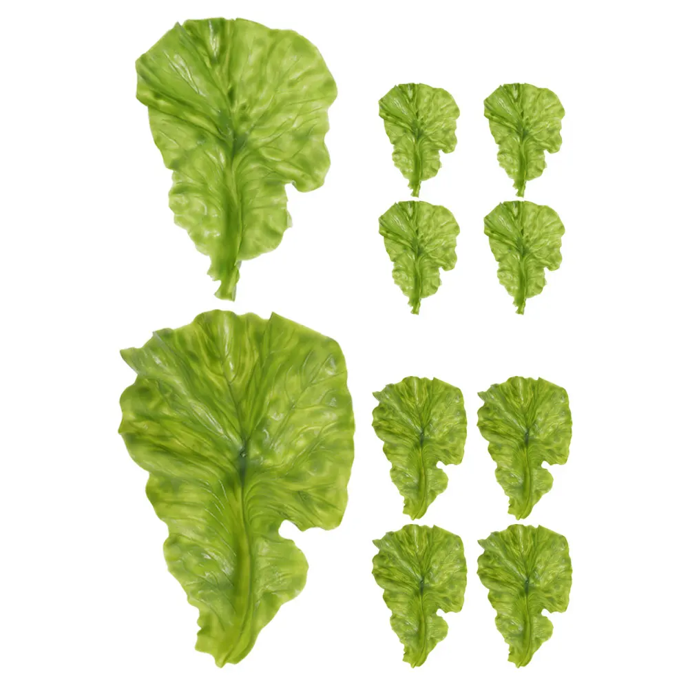 10pcs Artificial Lettuce Leaves Simulation Fake Lifelike Vegetable Leaf Ornament For Home Bedroom Collection Photo Prop Decor
10pcs Artificial Lettuce Leaves Simulation Fake Lifelike Vegetable Leaf Ornament For Home Bedroom Collection Photo Prop Decor