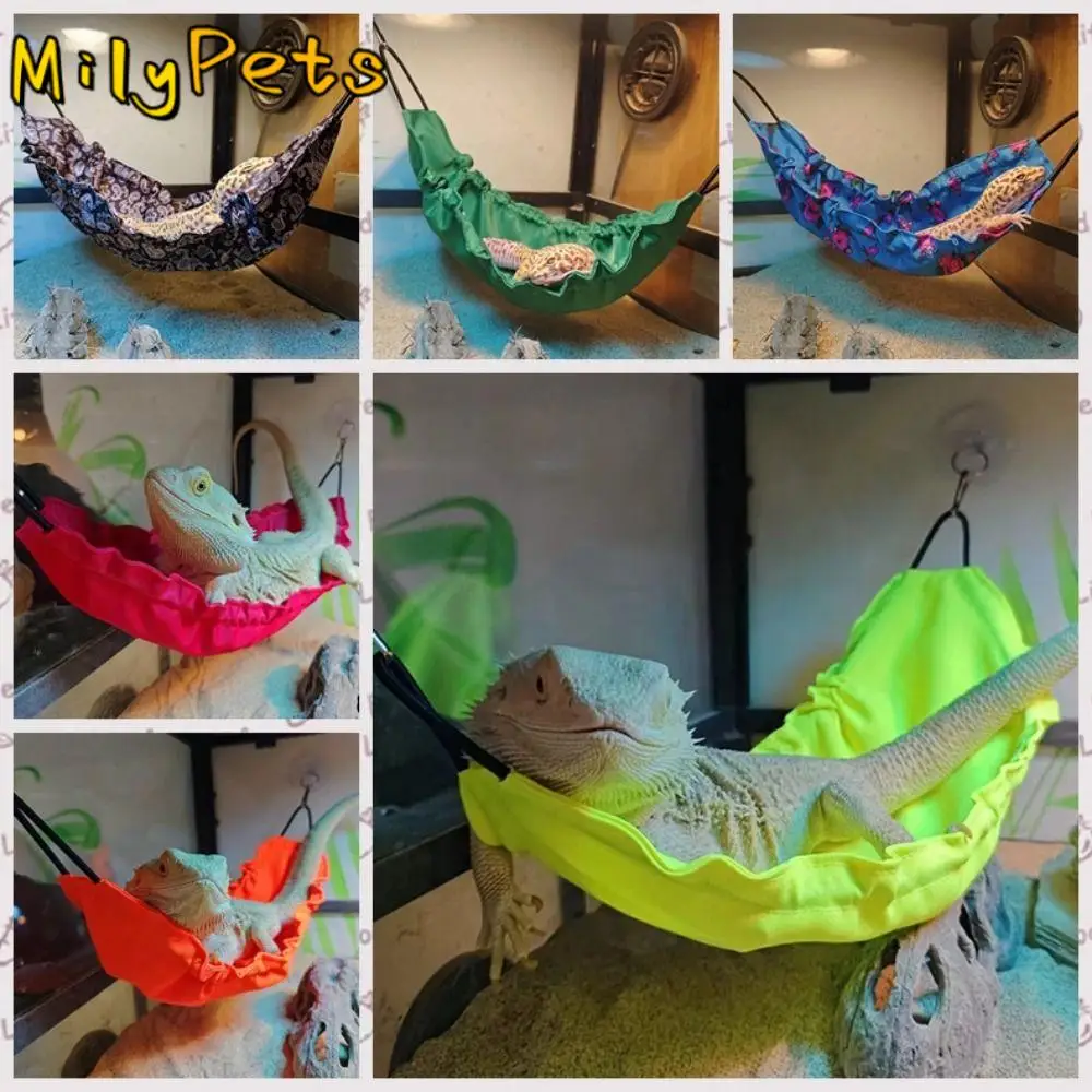 Reptile Habitat Decorative Reptile Hammock Cotton Oxford Lizard Swing Toy with Suction Cups Lizard Hanging Bed Pet Cage
Reptile Habitat Decorative Reptile Hammock Cotton Oxford Lizard Swing Toy with Suction Cups Lizard Hanging Bed Pet Cage