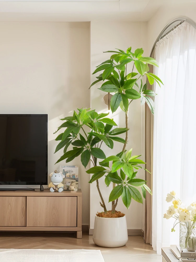 Nordic Sle Large Le Umbrella Indoor Luxury Simulation Plant Living Room Decorative Potted Fake Tree Lightweight Ornament
Nordic Sle Large Le Umbrella Indoor Luxury Simulation Plant Living Room Decorative Potted Fake Tree Lightweight Ornament