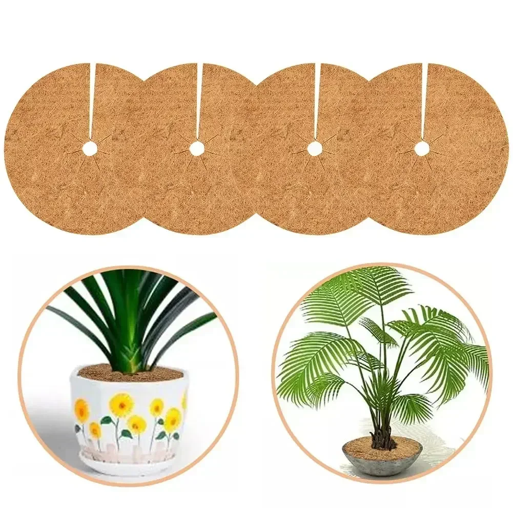 4Pcs Coconut Shell Mulch Mats Round Hole Mats To Promote Plant Growth Plant Mulch Fiber Mats For Trees Plants Fiber
4Pcs Coconut Shell Mulch Mats Round Hole Mats To Promote Plant Growth Plant Mulch Fiber Mats For Trees Plants Fiber