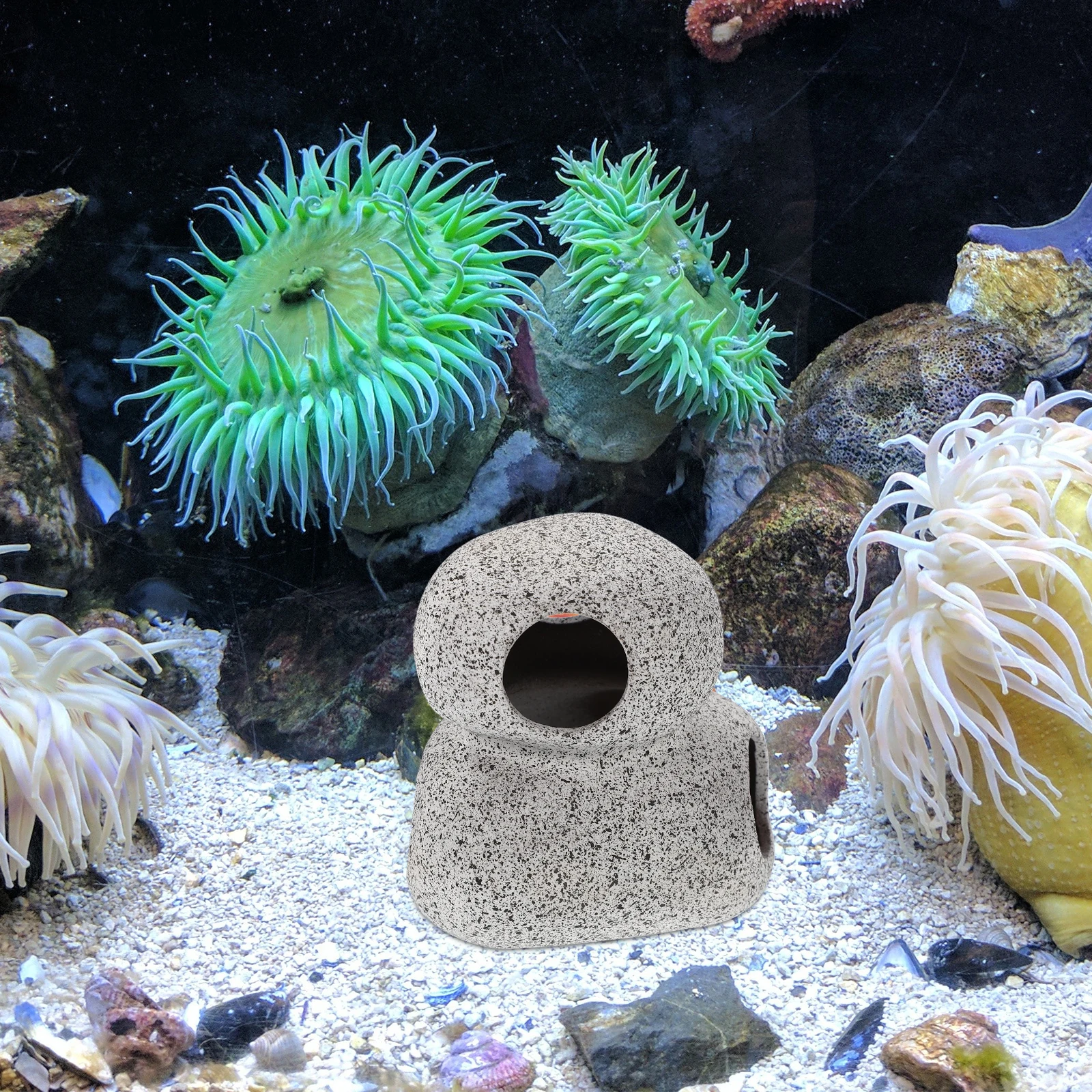 Fish Hideout Cave for Aquarium Small Compact Design Stable Wide Bottom Resin Fish Shrimp Hiding Cave Decorative Aquarium
Fish Hideout Cave for Aquarium Small Compact Design Stable Wide Bottom Resin Fish Shrimp Hiding Cave Decorative Aquarium