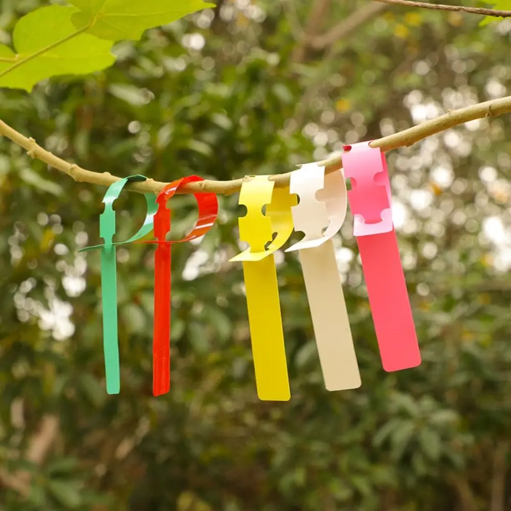 200pcs Waterproof Plant Hanging Tags PVC Solid Color Garden Flower Label Reusable Plants Prompt Card Seedlings Flower
200pcs Waterproof Plant Hanging Tags PVC Solid Color Garden Flower Label Reusable Plants Prompt Card Seedlings Flower