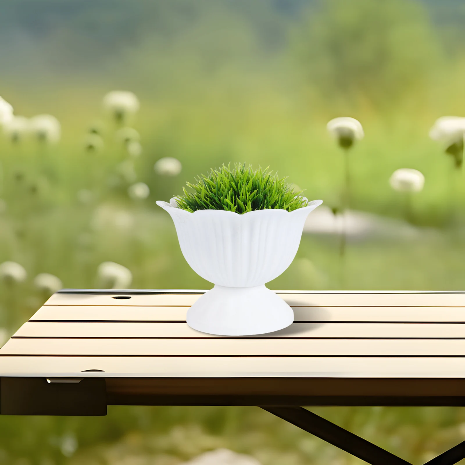 2 Pcs Wedding Flower Pot Desk Planter Mini Table Bonsai Pp Succulents Roman Style Garden Planters Home Decor Versatile Use
2 Pcs Wedding Flower Pot Desk Planter Mini Table Bonsai Pp Succulents Roman Style Garden Planters Home Decor Versatile Use
